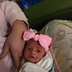 Meet your Posher, Tara